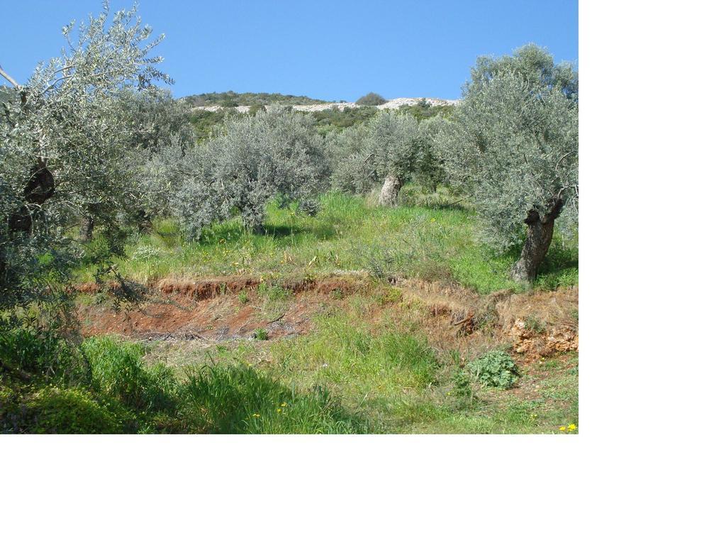 Athina Ecofarm Apartment Epidaurus Exterior foto