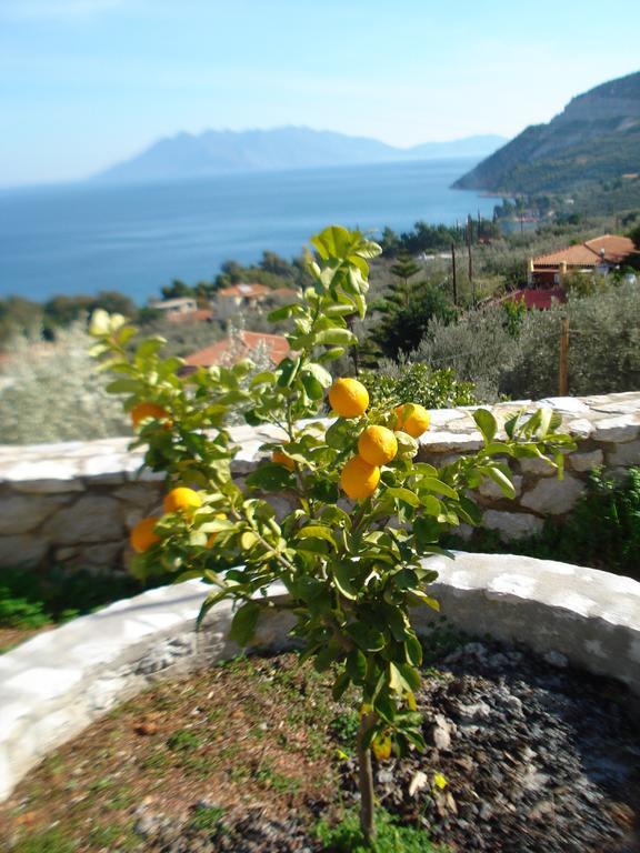 Athina Ecofarm Apartment Epidaurus Exterior foto